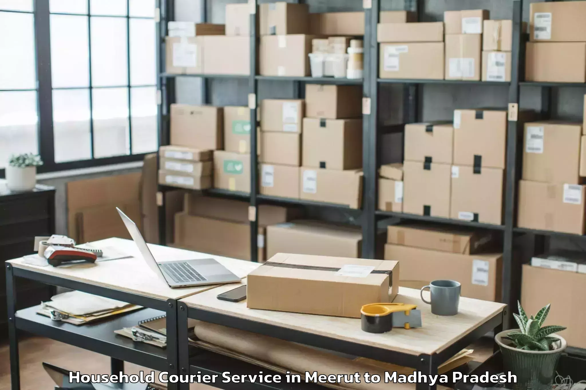 Professional Meerut to Ichhawar Household Courier